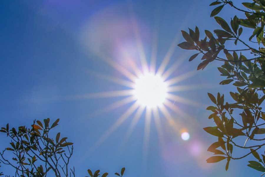 技被正式纳, 更需要团队